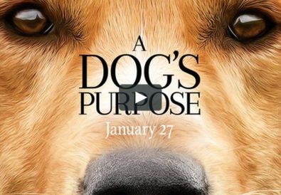 film a dog's purpose