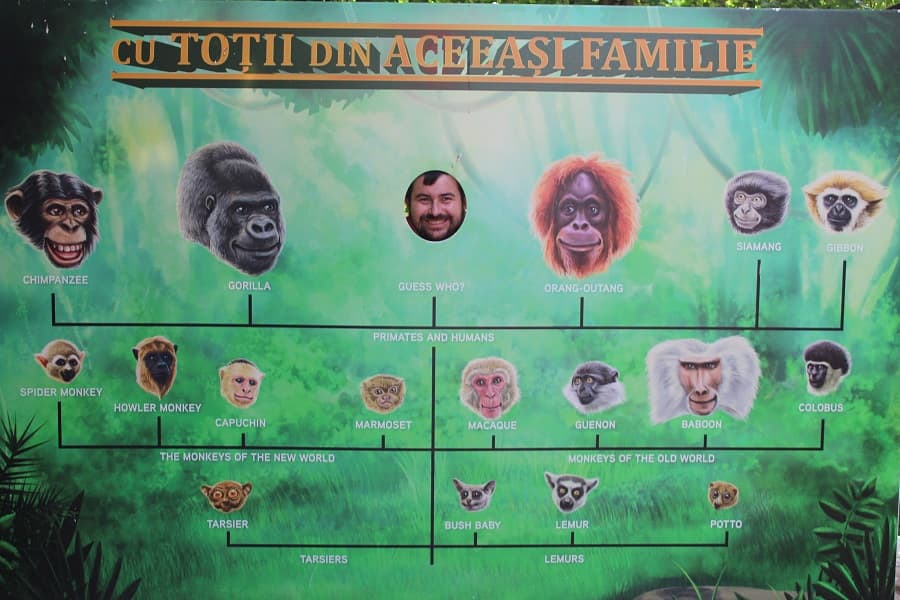grădina zoologică București Băneasa