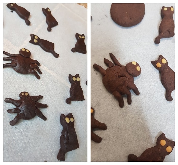 dulciuri de halloween biscuiți fursecuri pisici negre și păianjeni  