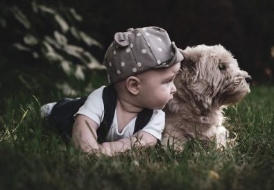 rase de câini pentru copii