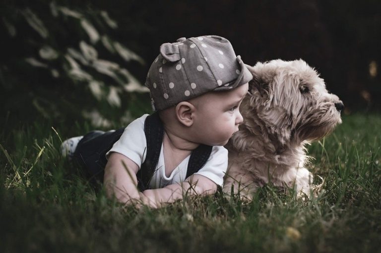 5 rase de câini potrivite pentru familiile cu copii mici - Caietul ...